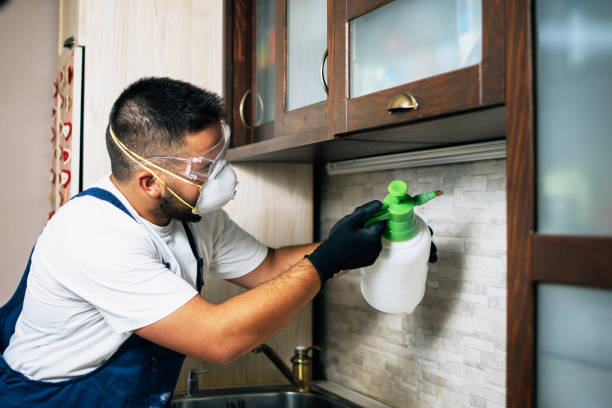 Best Termite Control Services  in Alma, MI