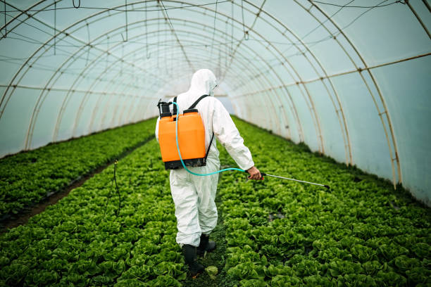 Best Local Pest Control Services  in Alma, MI