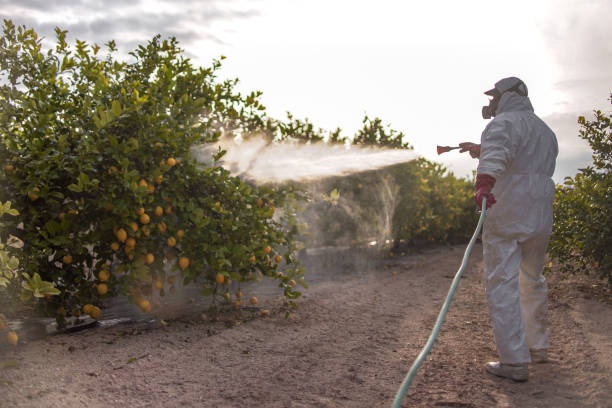 Insect Control in Alma, MI