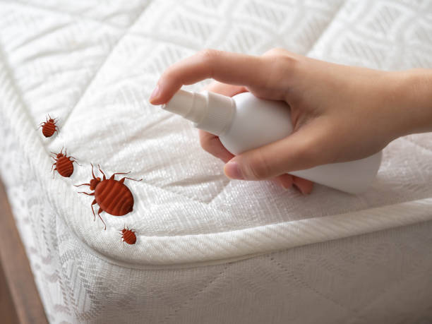 Best Insect Control  in Alma, MI
