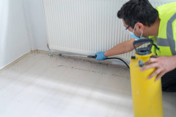 Best Best Pest Control Companies  in Alma, MI