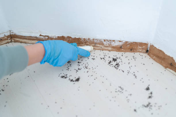 Best Wildlife Control Services  in Alma, MI